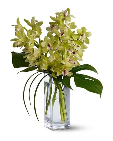 Teleflora's Orchid Elegance Flower Arrangement