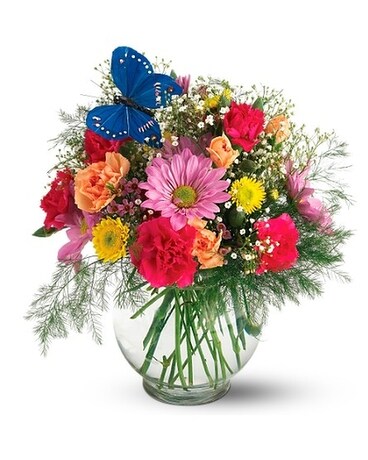 Teleflora's Butterfly Blossoms Vase Flower Arrangement