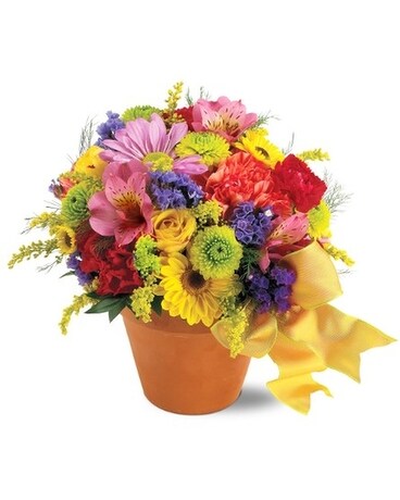 Teleflora's Fresh Blossom Potpourri Flower Arrangement