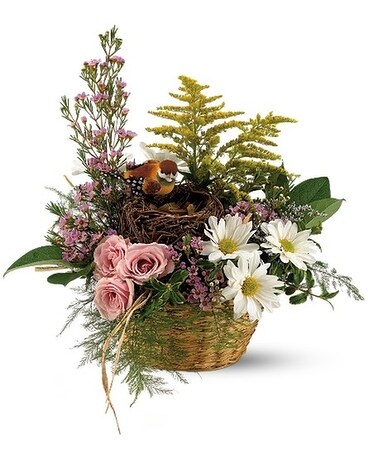 Teleflora's Nesting Basket Flower Arrangement