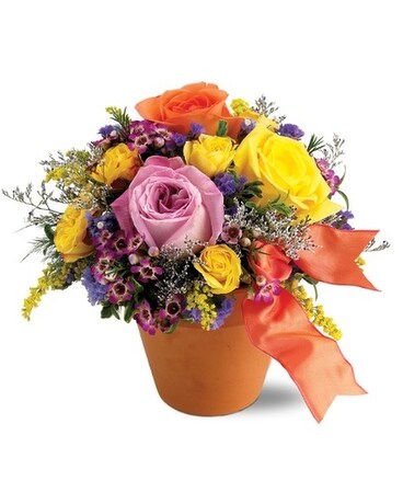 Teleflora's Sweet 'n Simple Flower Arrangement