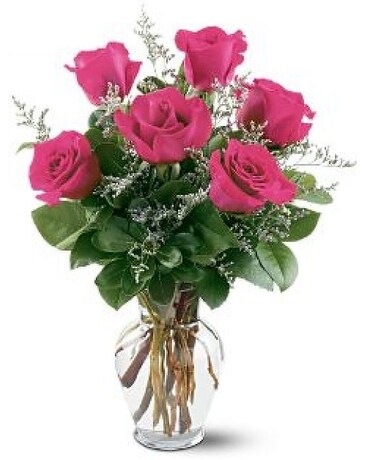 6 Hot Pink Roses Flower Arrangement