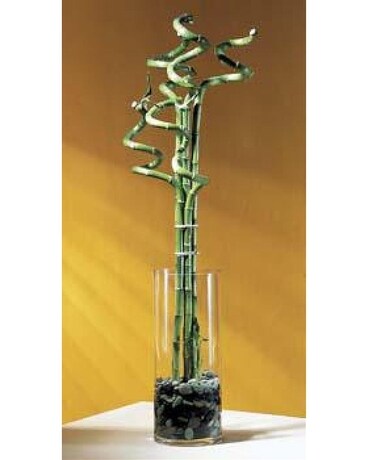 Curly Bamboo Flower Arrangement