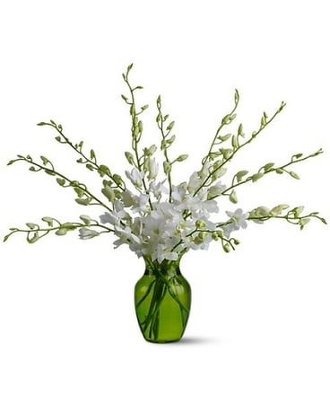 Serenity Orchids Flower Arrangement