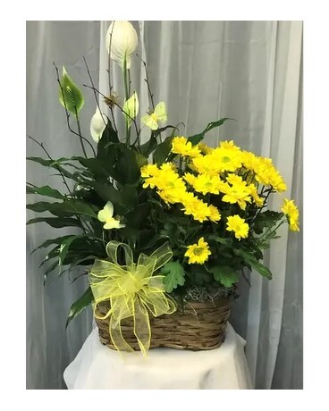 Ellington's Double Basket Flower Arrangement