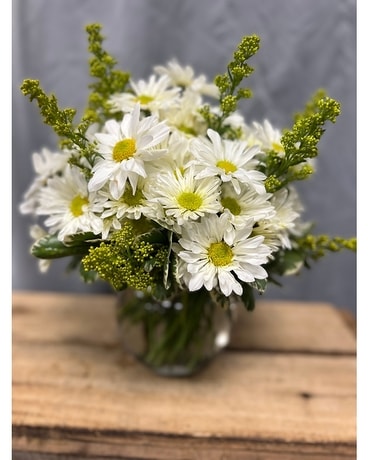 Ellington's Daisy Delight Flower Arrangement