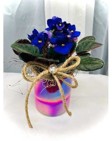 Petite Sweet Violet Flower Arrangement