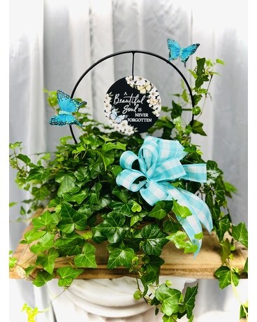 Ivy Sentiments Plant