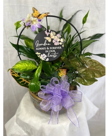 Grandma's Garden Plant