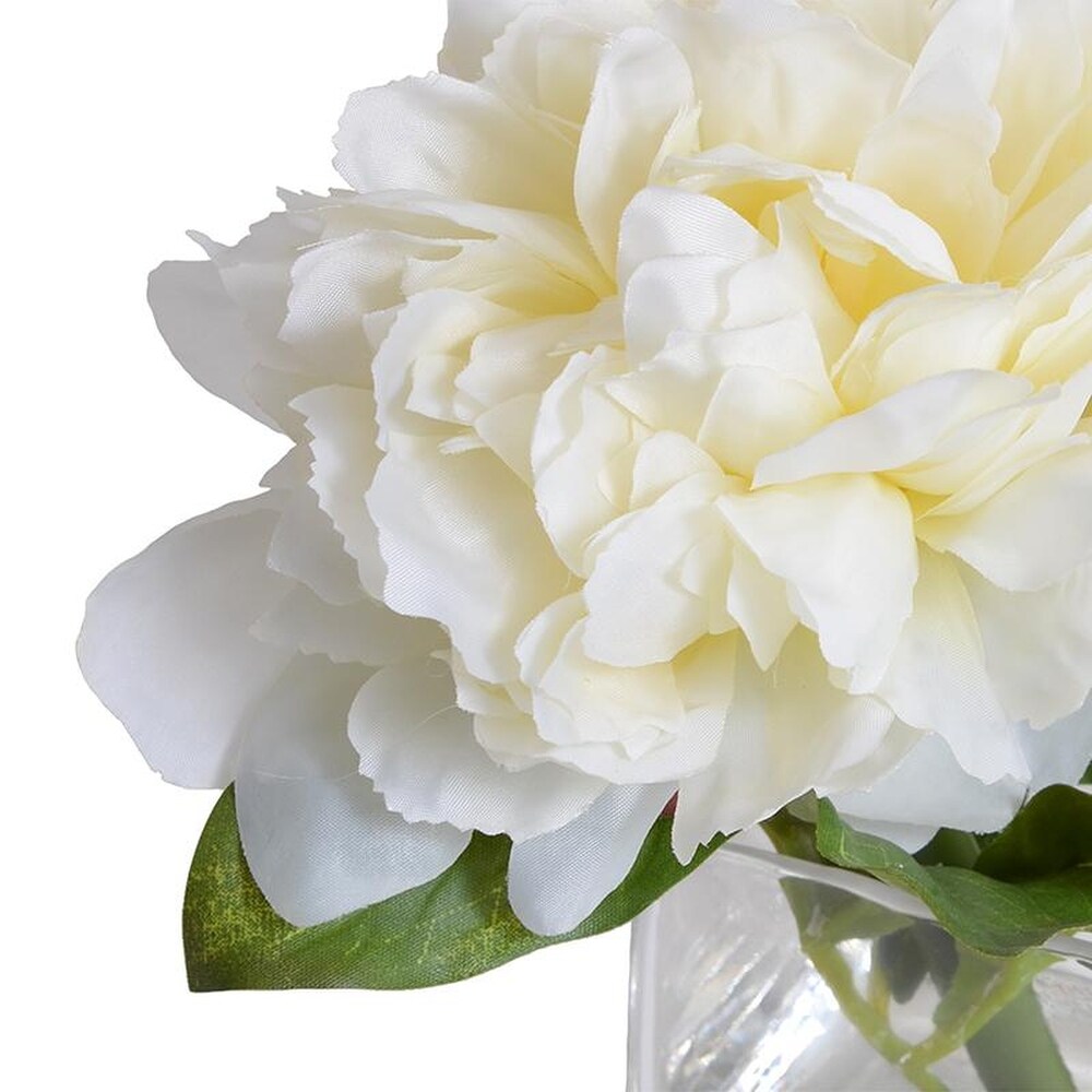 Peony Cutting- White 8