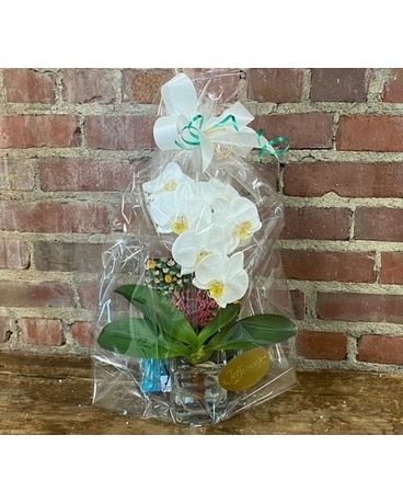 Forever Keepsake Phalaenopsis Flower Arrangement
