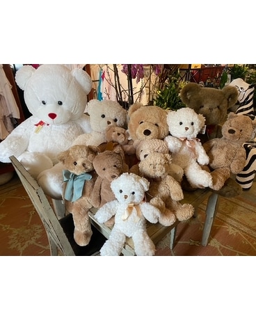 Teddy Bears, Oh My! Gifts