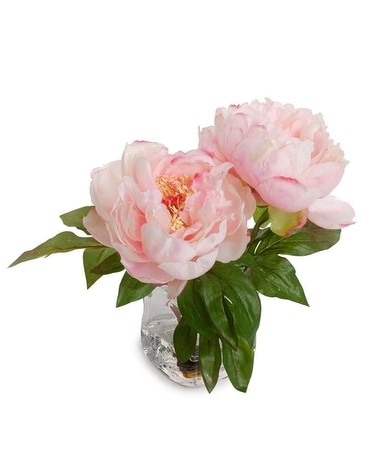 Peony Cutting- Pink 8