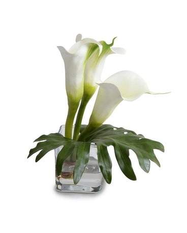 Calla Lilly Cutting with Leaf, 11