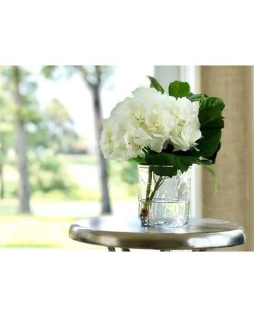 White Hydrangea Cutting in Cube Vase, 9