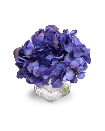 Purple Hydrangea Cutting in Glass Cube, 6