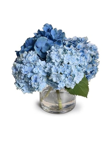 Hydrangea Arrangement - Blue 12
