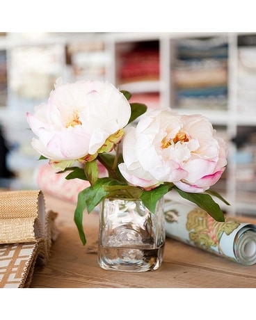 Blush Peony Cutting - 8