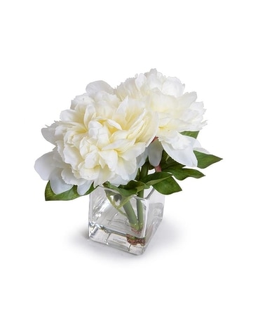 Peony Cutting- White 8