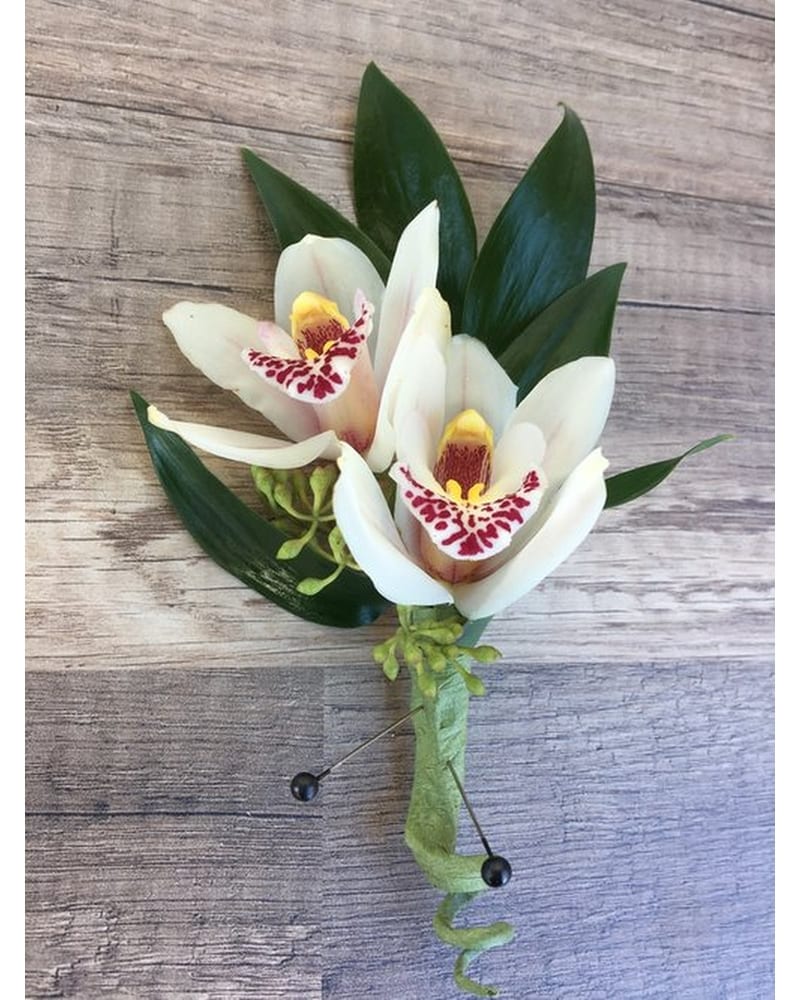 Charcoal Phalaenopsisby Blooms by MG