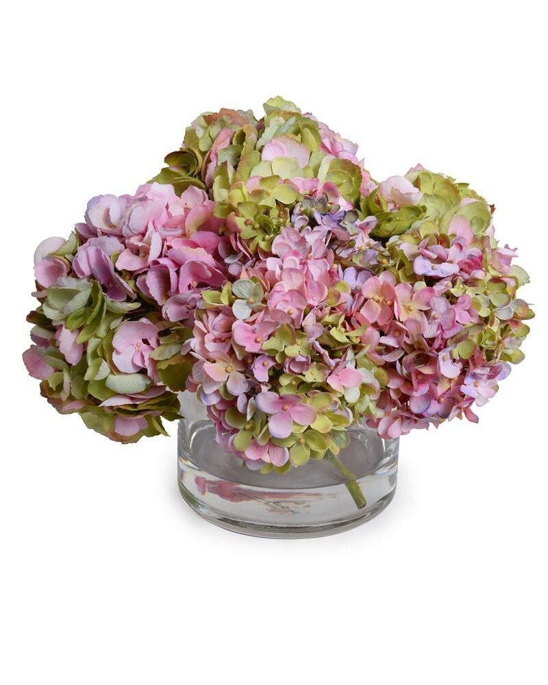 hydrangea0223ページ Cherry Explosion™ Hydrangea - Star® Roses and Plants