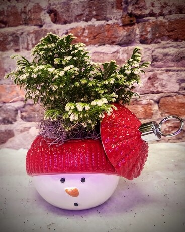 Frosty Tips Flower Arrangement
