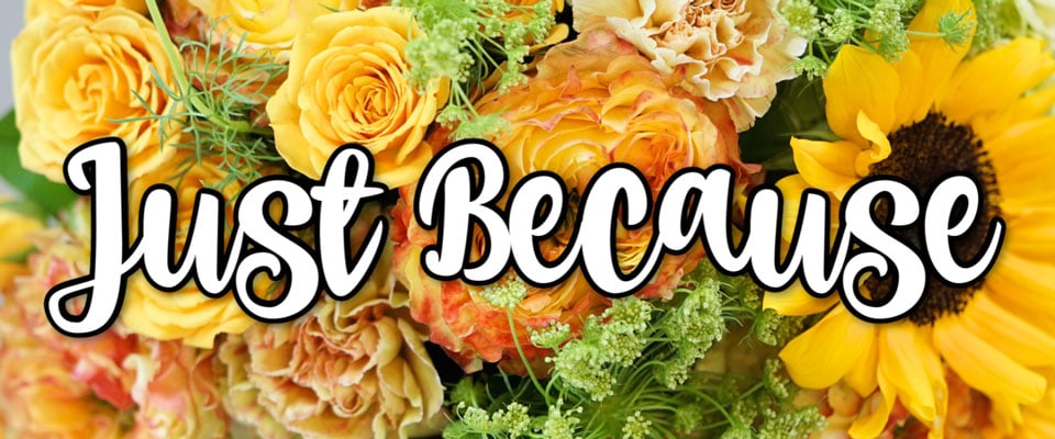 Beautiful Seasonal Flowers Banner
