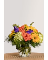 Standard size,  inches height and  inches wide.