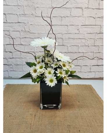 Daisey Delight Specialty Arrangement
