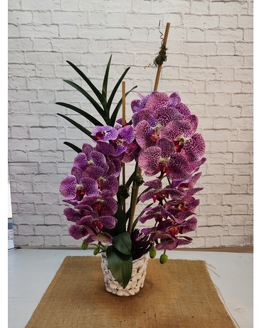 Loverly Lavender Orchids Specialty Arrangement