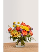 Standard size,  inches height and  inches wide.