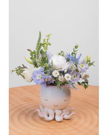 New Baby Flowers - Fort Collins, CO | Palmer Flowers