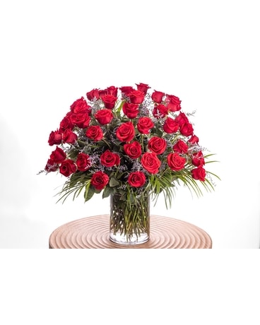 Five Dozen Premium Red Roses - Clarks Summit, PA | McCarthy