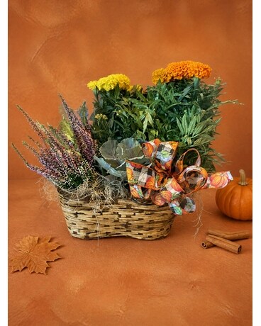 Plants - Cary, NC | Preston Flowers