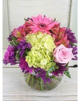 Standard size, 11 inches height and 11 inches wide.