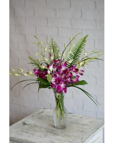 Orchids Untouched Flower Arrangement