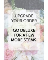 Deluxe size,  inches height and  inches wide.