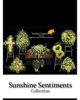 Sunshine Sentiments Collection size,  inches height and  inches wide.