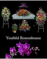 Youthful Remembrance Collection size,  inches height and  inches wide.