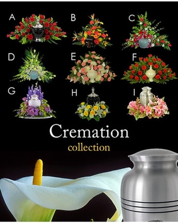 Cremation Settings Funeral Arrangement
