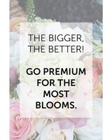 Premium size,  inches height and  inches wide.