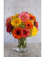 Standard size, 16 inches height and 12 inches wide.