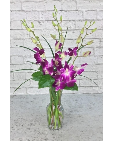Orchids Delight Flower Arrangement