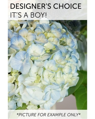 Designer's Choice - It's a Boy! Flower Arrangement