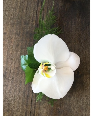 Phalaenopsis Orchid Boutonniere Boutonniere