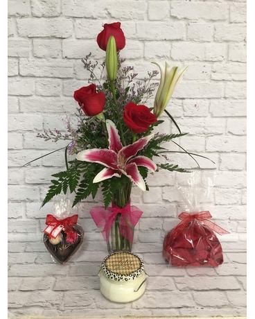 Hollywood Trio Bundle Gifts