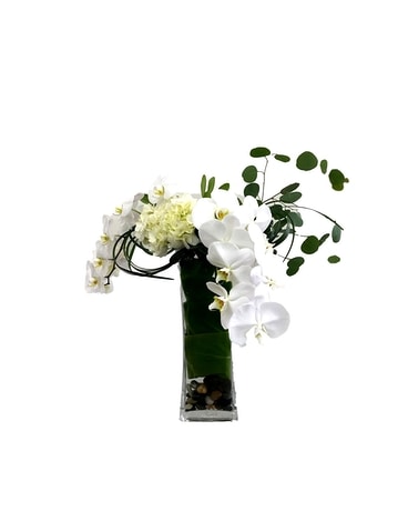 Phalaenopsis Orchid Arrangement Flower Arrangement