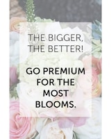 Premium size,  inches height and  inches wide.