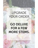 Deluxe (Most Popular!) size,  inches height and  inches wide.