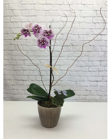 Purple Orchid Flower Arrangement